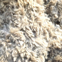 Peluche petit chien Garret originale de Louise Mansen dans les couleurs beige, marron et blanc – Image 3