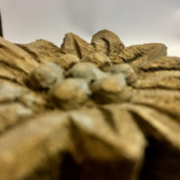Patère avec crochet en bois edelweiss effet rustique/récupération – Image 3