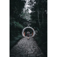 "Jardin surréaliste Méxique" - Photo tableau de Jorge Cardoso
