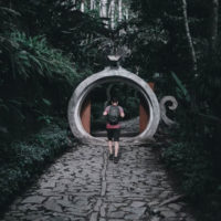 "Jardin surréaliste Méxique" - Photo tableau de Jorge Cardoso – Image 2